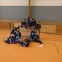 Championnat de Bretagne Roller hockey "poussins"