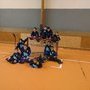 Championnat de Bretagne Roller hockey "poussins"